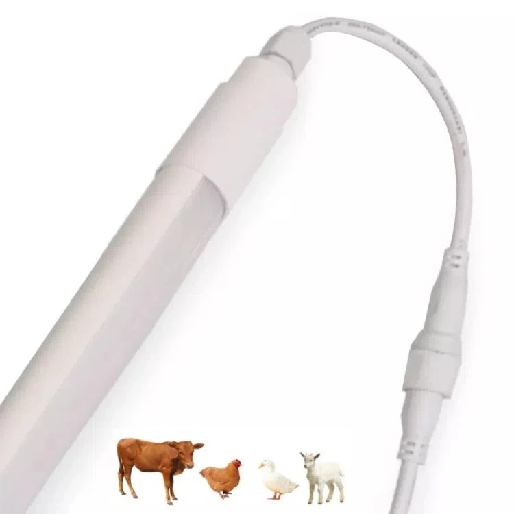 led-lighting-for-dairy-cows59446770824.webp.jpg