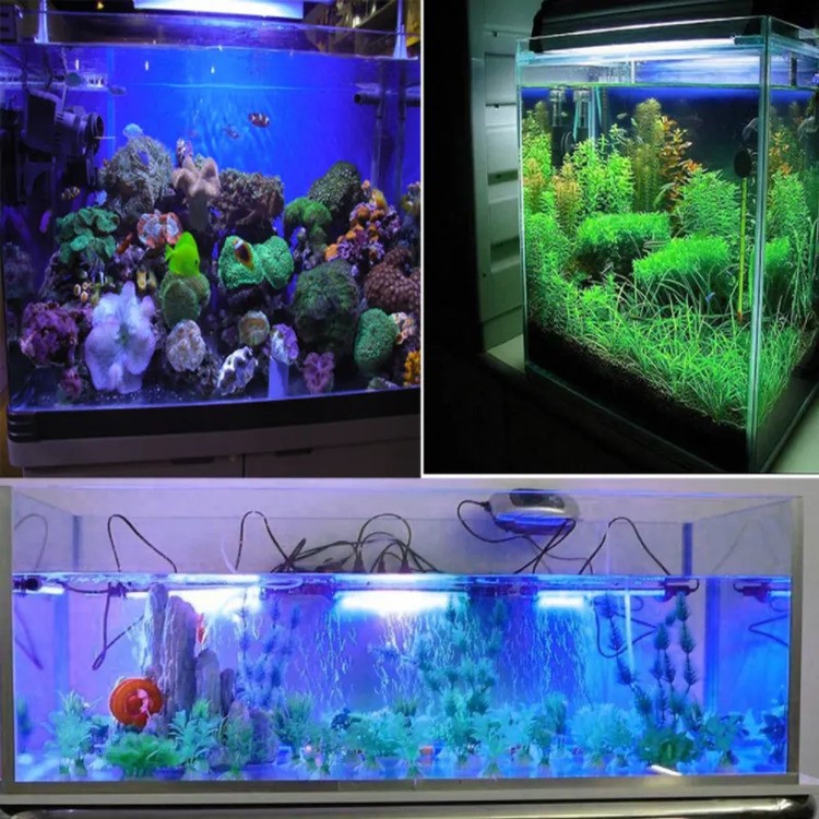 led tube for marine5 led tube for marine5