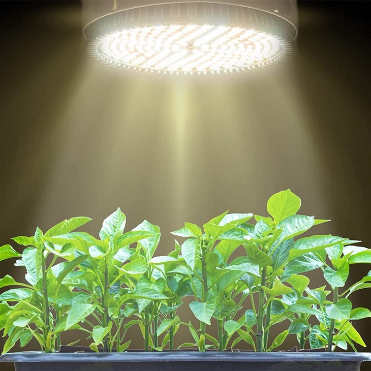 12W Plant Grow Light PAR38