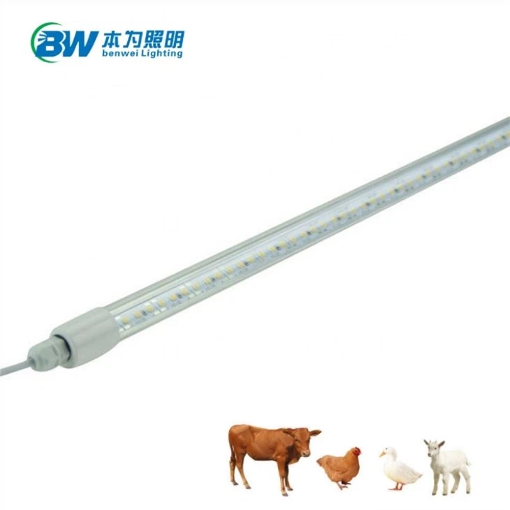 light with timer for chicken coop