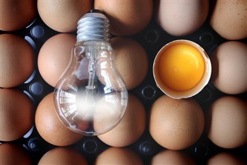 ผลกระทบของแสงสีต่อสุขภาพและสวัสดิภาพสัตว์ปีก