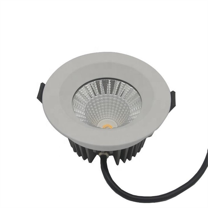 ceiling led down lights