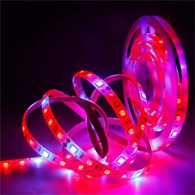 แถบ LED เต็มสเปกตรัม 5050 ขยายแสงสำหรับการเจริญเติบโตของพืช