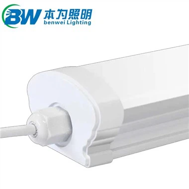 ไฟวางไข่สำหรับไก่