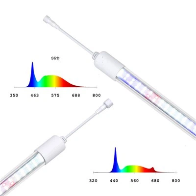 T8 นำแสงเติบโต