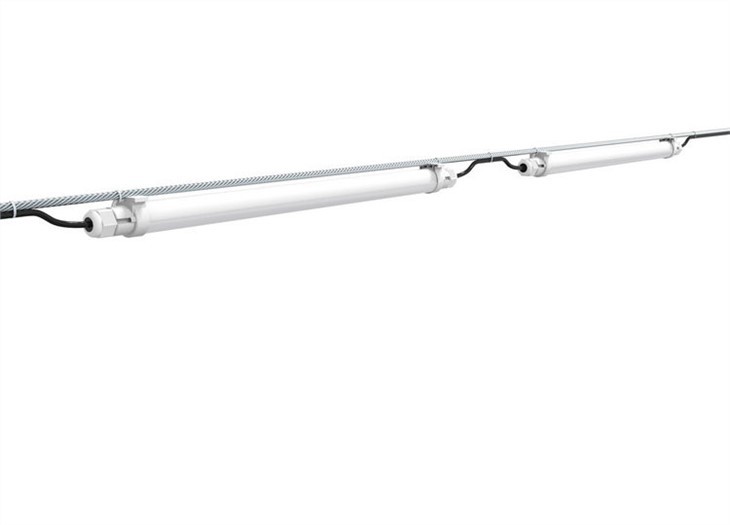 best light for chicken coop -