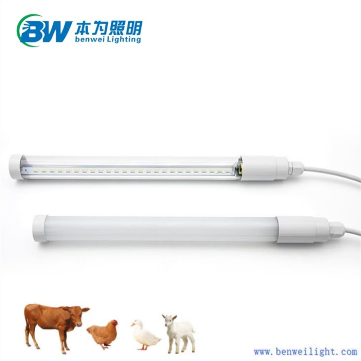 60cm Chicken Light Dimmable