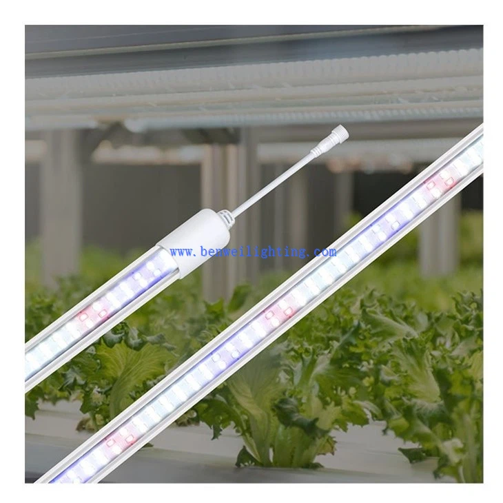 grow light light bulbs