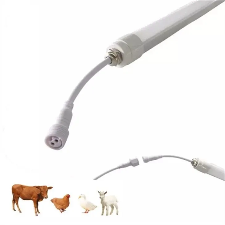 Bovine Lamp