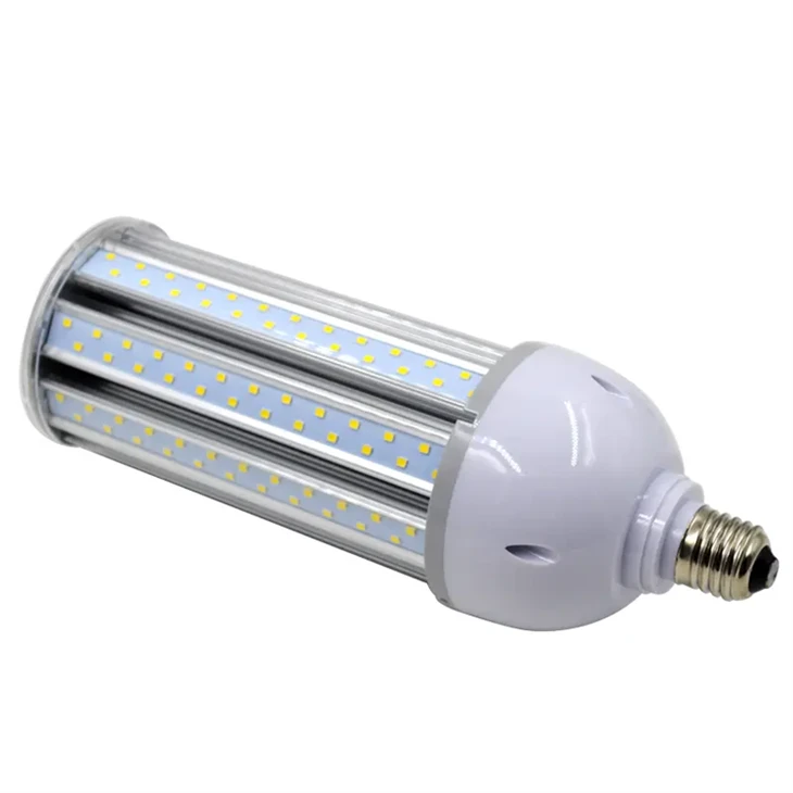 Cold White Corn Light (1)