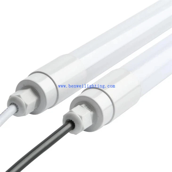 Dairy Cattle Lighting (4)