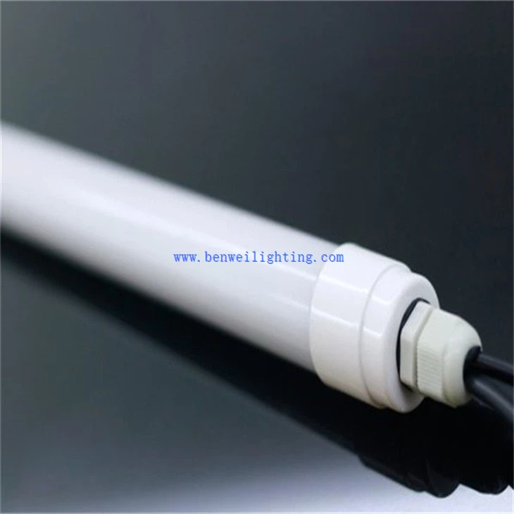 Dairy Cattle Lighting (3)