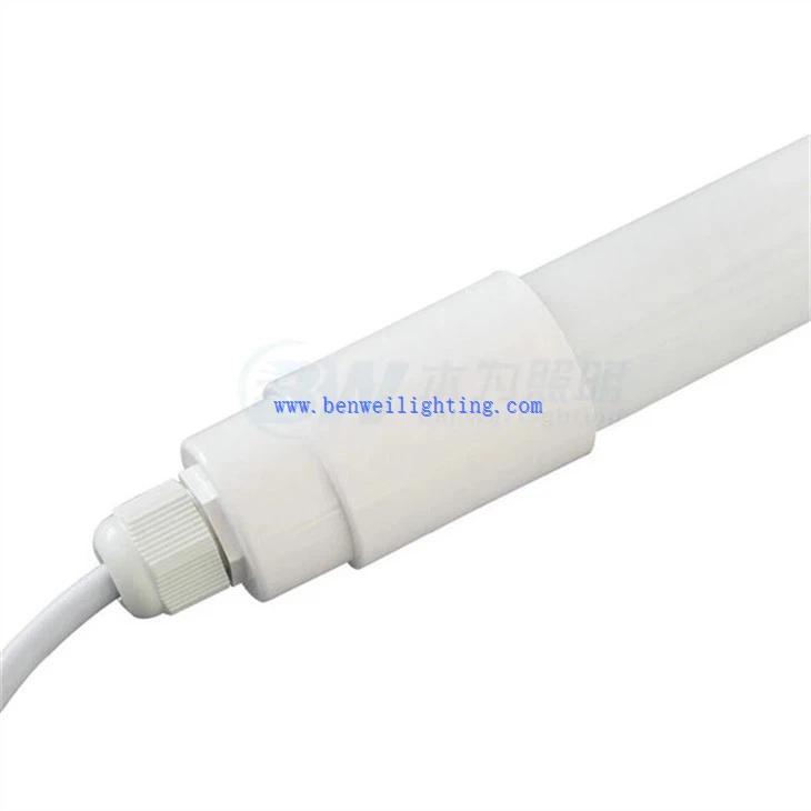 Dairy Cattle Lighting (1)