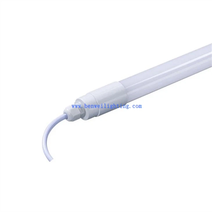 Dairy Cattle Lighting (5)