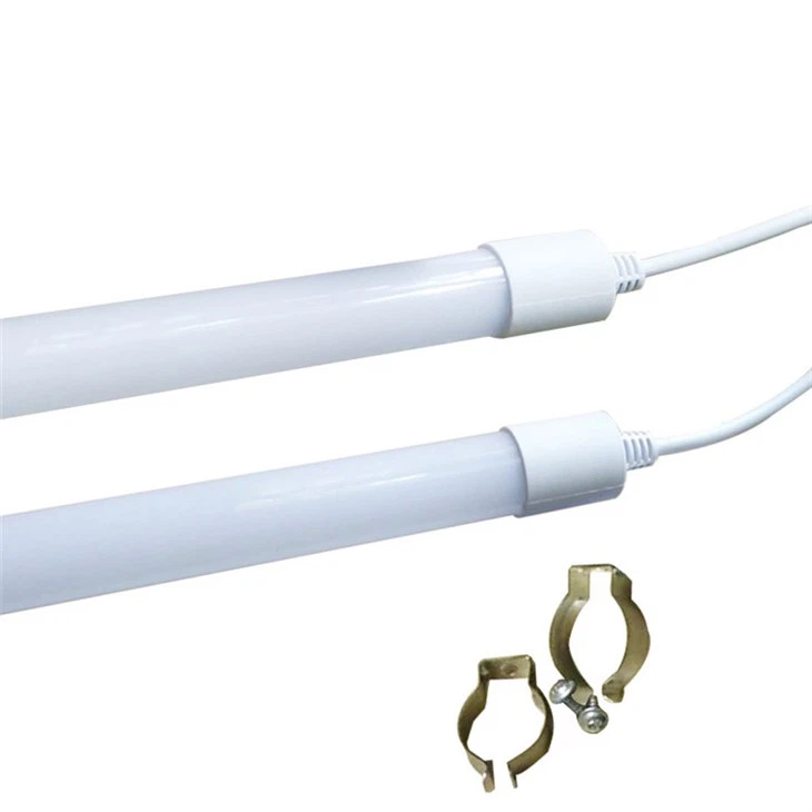 Egg Incubator Light