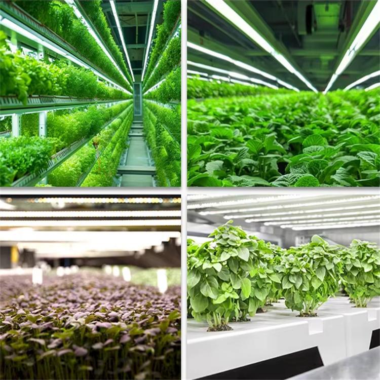 full spectrum grow lights full spectrum grow lights