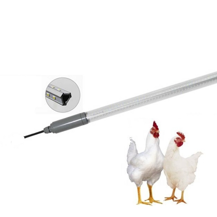 chicken coop lamp chicken coop lamp