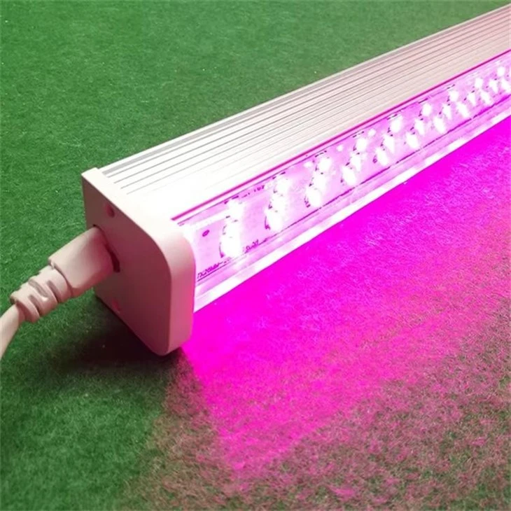Outdoor Full Spectrum Red Blue LED Grow Light high quality