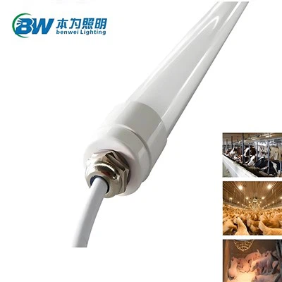 หลอดไฟ LED หรี่แสงได้สำหรับสัตว์ปีก