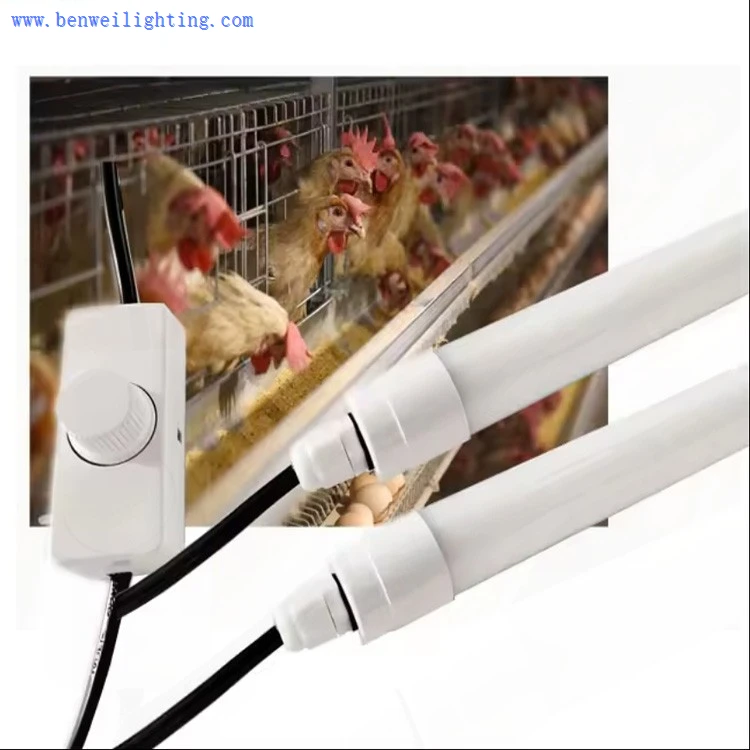 poultry lighting pig light led