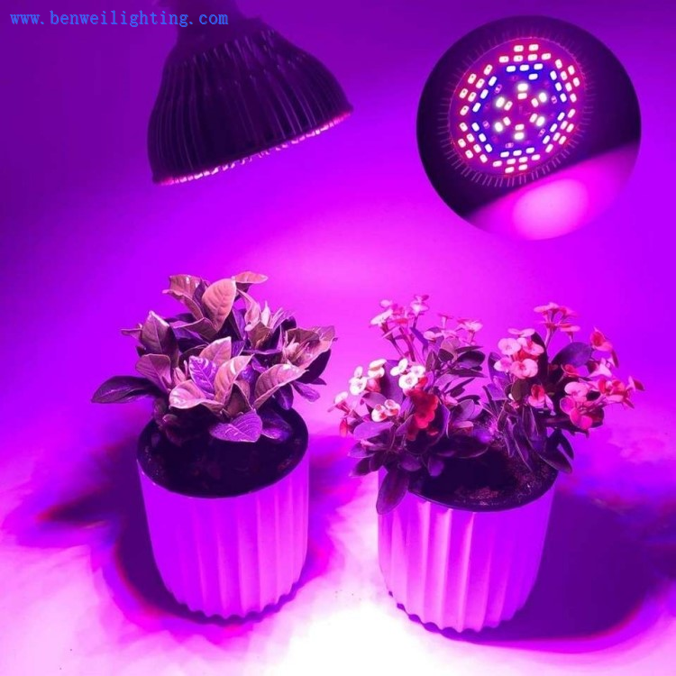 indoor plant light bulb indoor plant light bulb