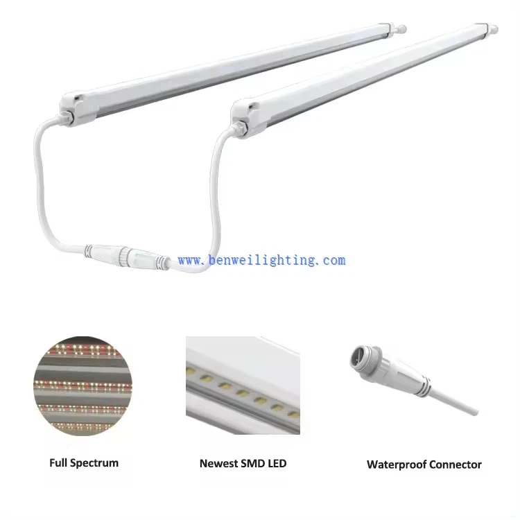 product-750-750 product-750-750