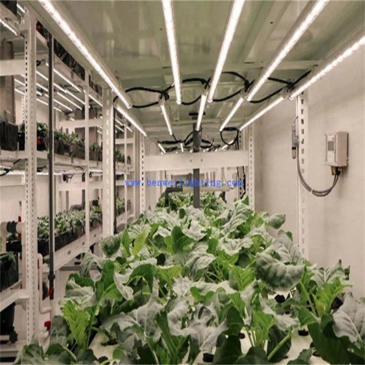 product-750-750 product-750-750