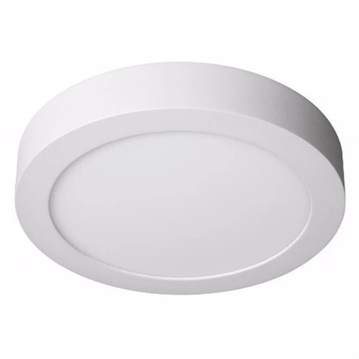 Ring-shaped Ceiling Light